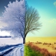 Pros and cons of selling your home in winter vs summer in Vancouver.
