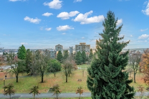 0_DSC04528