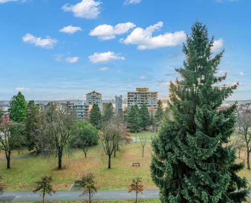 0_DSC04528