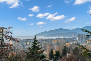 0_DSC04529