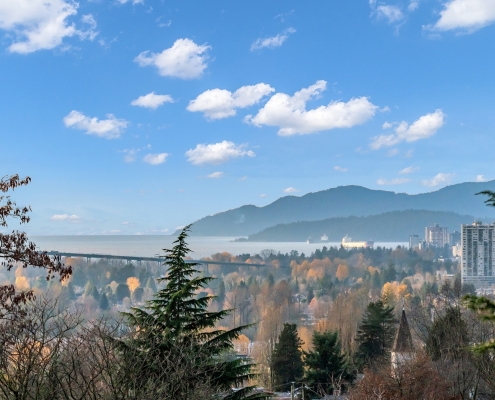 0_DSC04529