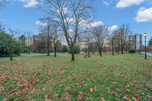 0_DSC04549