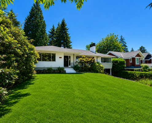 green grass 2
